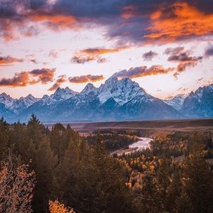 Meet your Posher, Theresa